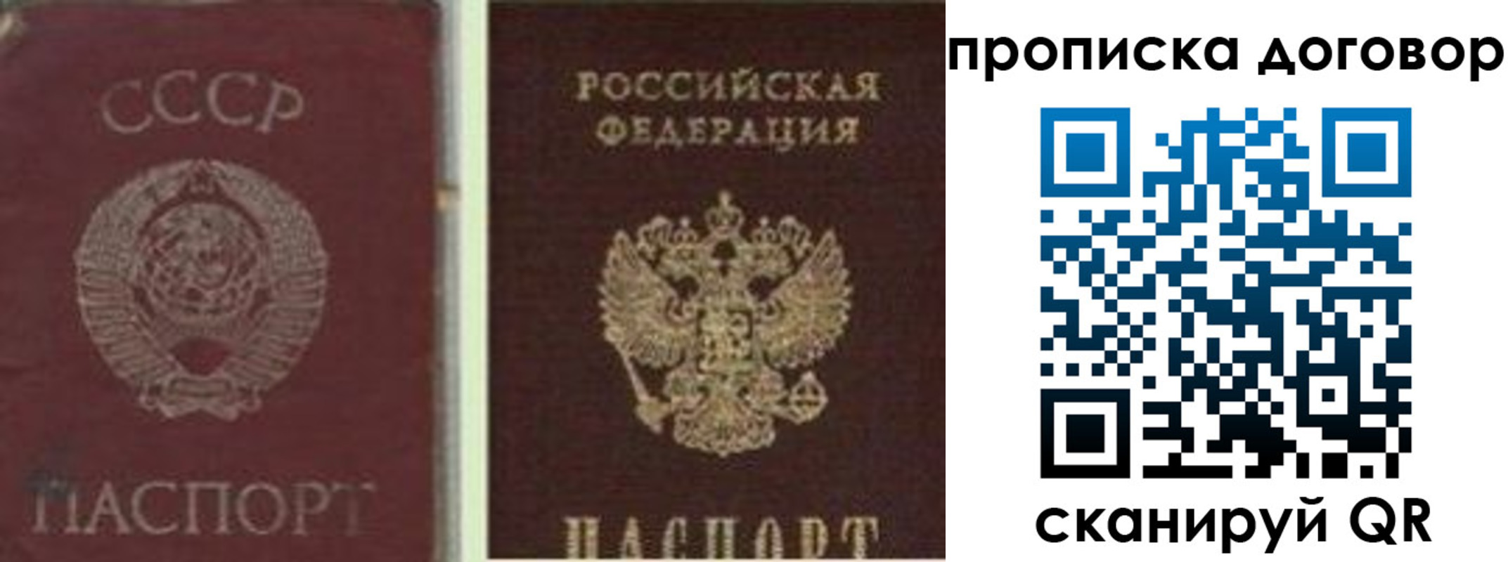 прописка гарантия в Орле